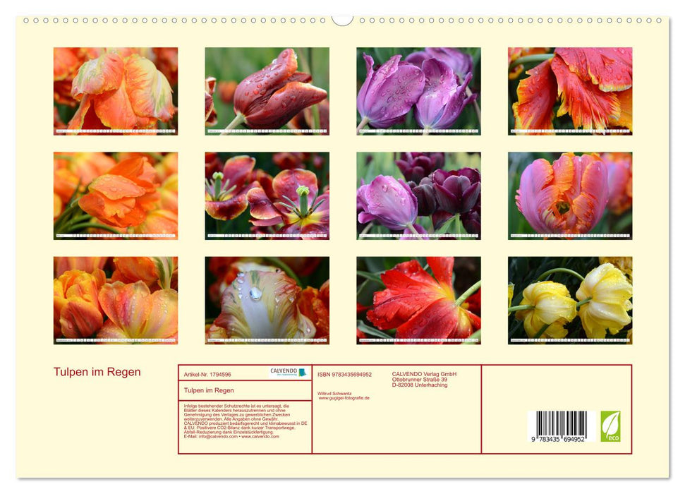 Tulpen im Regen (CALVENDO Premium Wandkalender 2025)