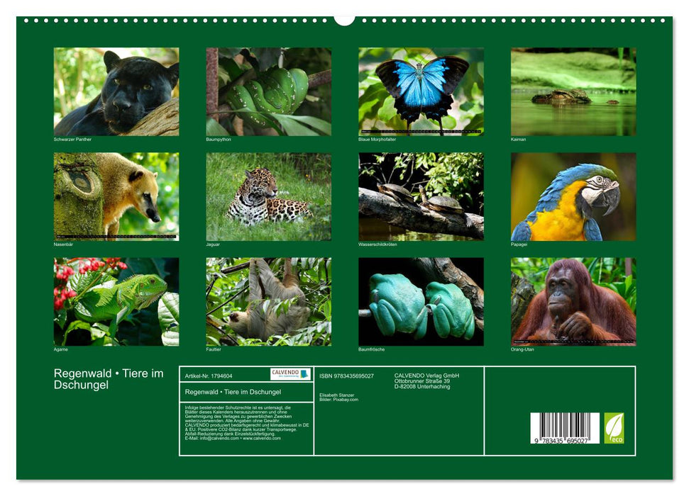 Regenwald • Tiere im Dschungel (CALVENDO Premium Wandkalender 2025)