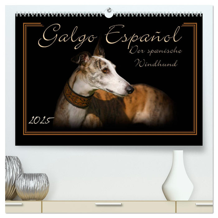 Galgo Español 2025- Der spanische Windhund (CALVENDO Premium Wandkalender 2025)