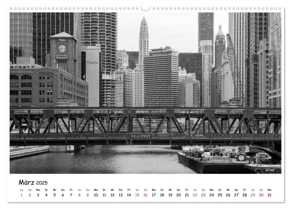 Chicago 2025 (CALVENDO Premium Wandkalender 2025)