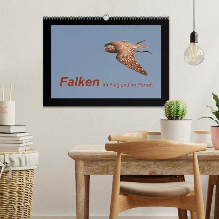 Falken im Flug und im Porträt (CALVENDO Wandkalender 2025)