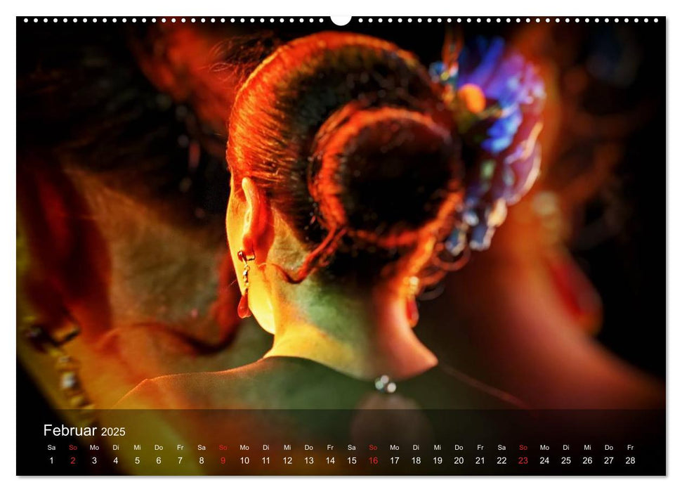 Flamenco - Tanz der Leidenschaft (CALVENDO Premium Wandkalender 2025)