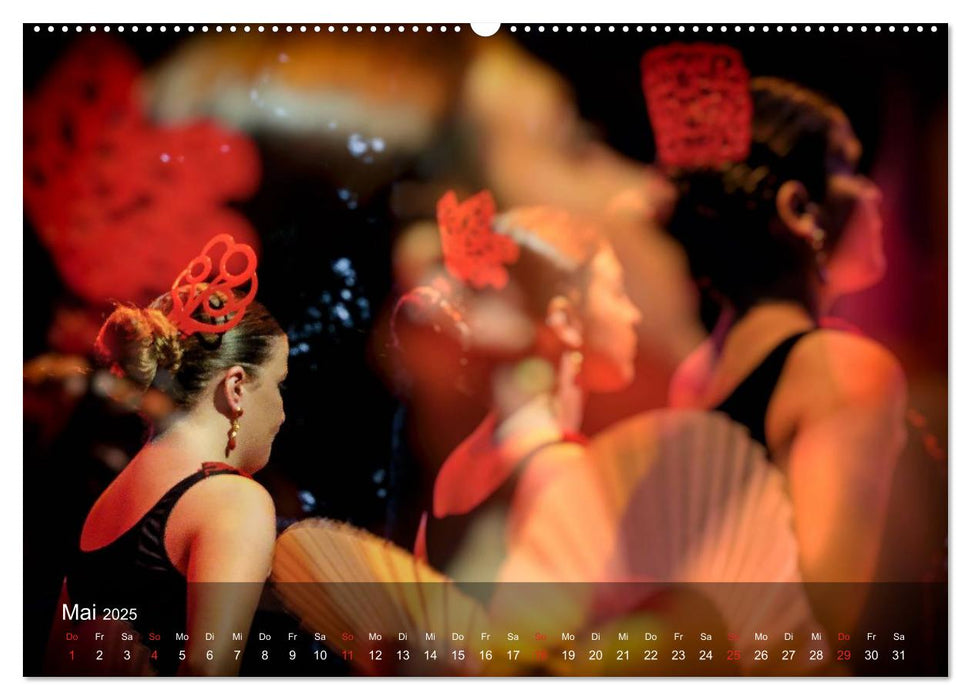 Flamenco - Tanz der Leidenschaft (CALVENDO Premium Wandkalender 2025)