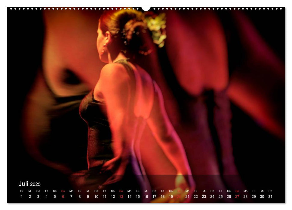 Flamenco - Tanz der Leidenschaft (CALVENDO Premium Wandkalender 2025)