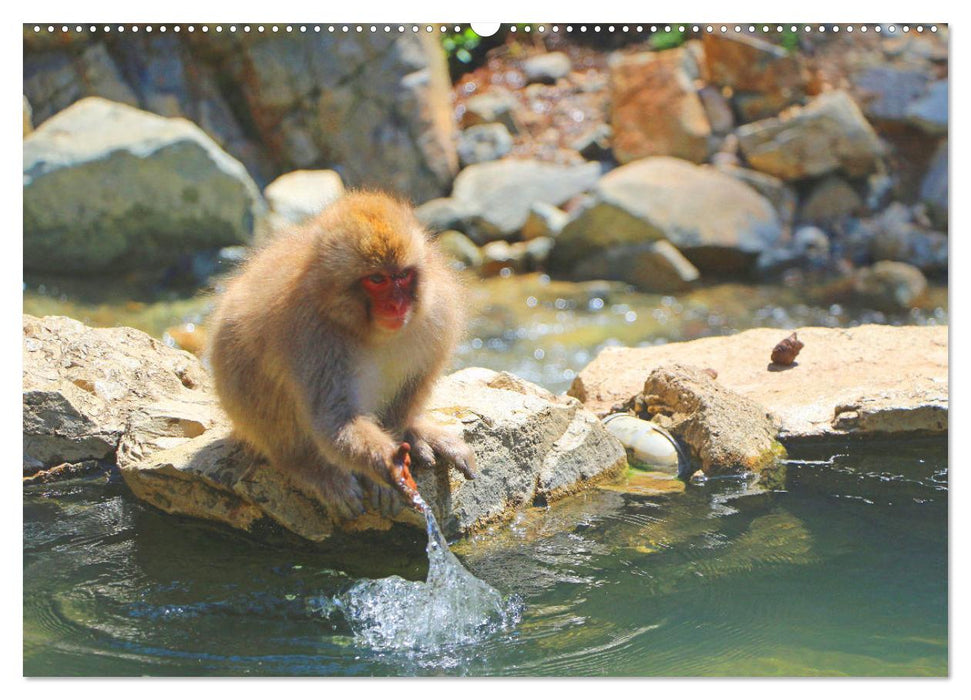 Japan das Land der aufgehenden Sonne (CALVENDO Wandkalender 2025)