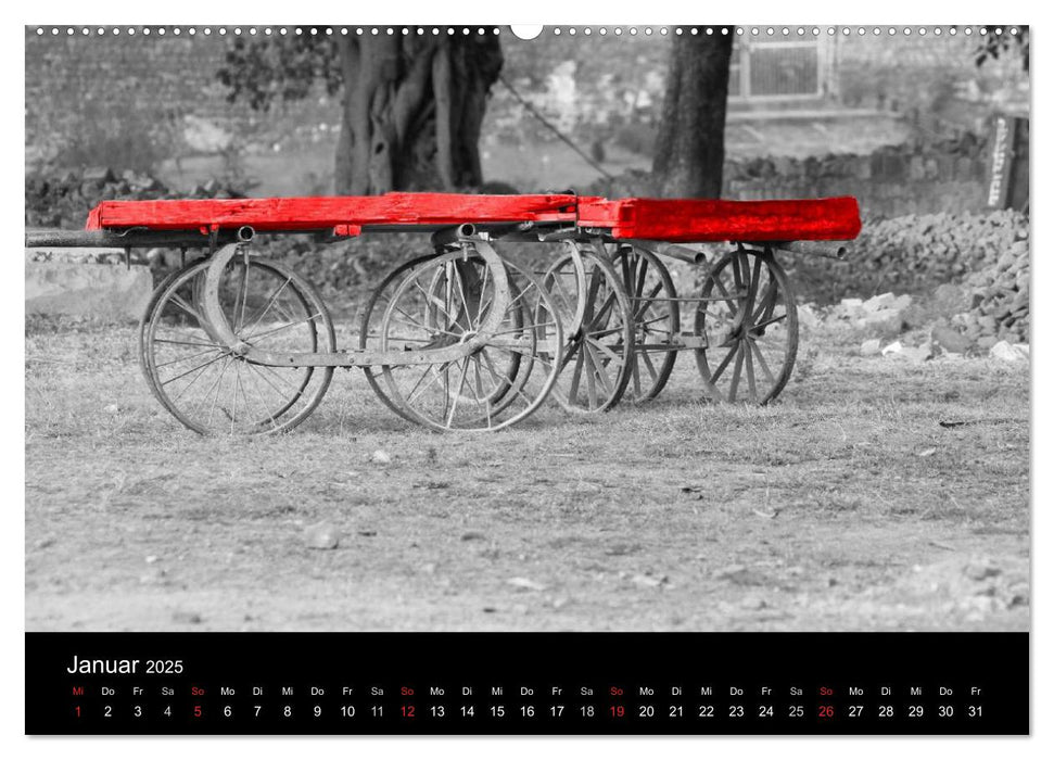 Blickfang in Rot (CALVENDO Premium Wandkalender 2025)