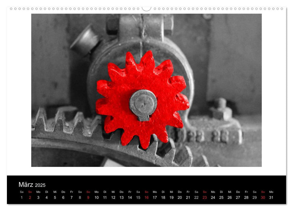 Blickfang in Rot (CALVENDO Premium Wandkalender 2025)