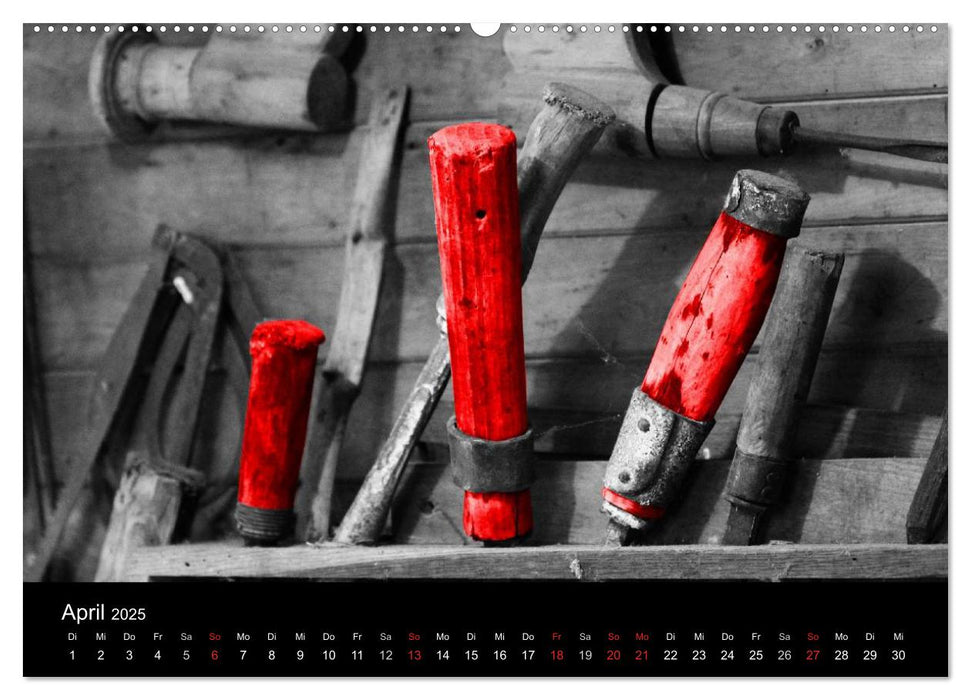 Blickfang in Rot (CALVENDO Premium Wandkalender 2025)