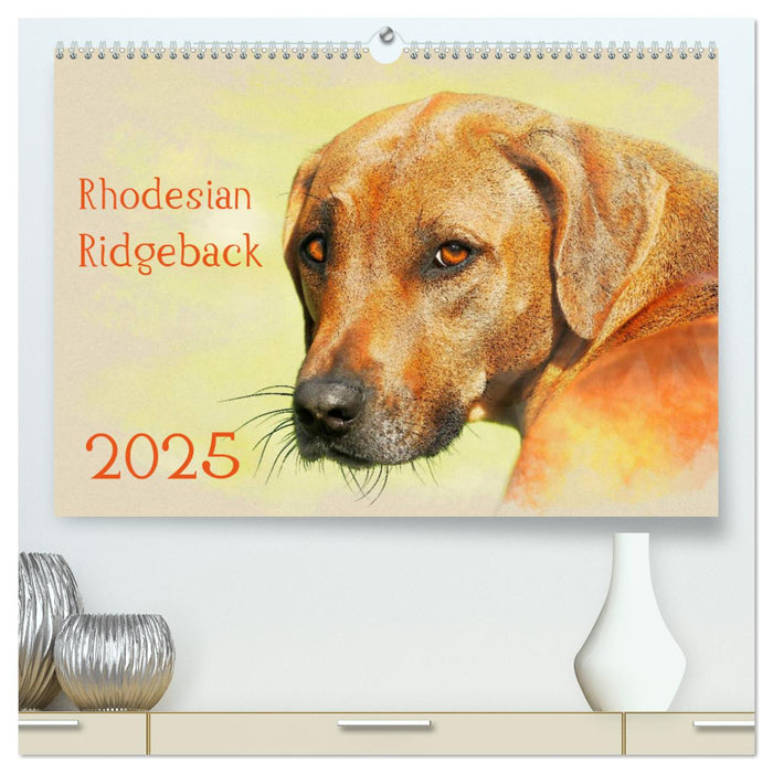 Rhodesian Ridgeback 2025 (CALVENDO Premium Wandkalender 2025)