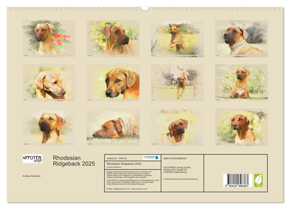 Rhodesian Ridgeback 2025 (CALVENDO Premium Wandkalender 2025)