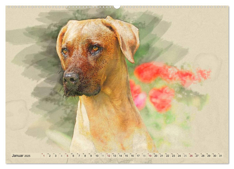 Rhodesian Ridgeback 2025 (CALVENDO Premium Wandkalender 2025)