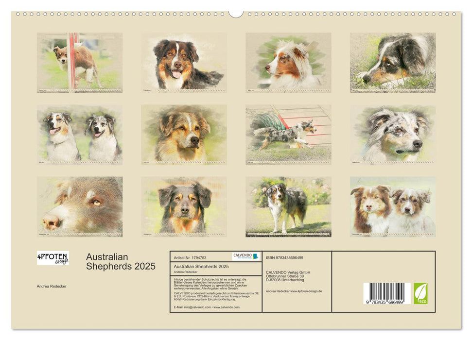 Australian Shepherds 2025 (CALVENDO Premium Wandkalender 2025)