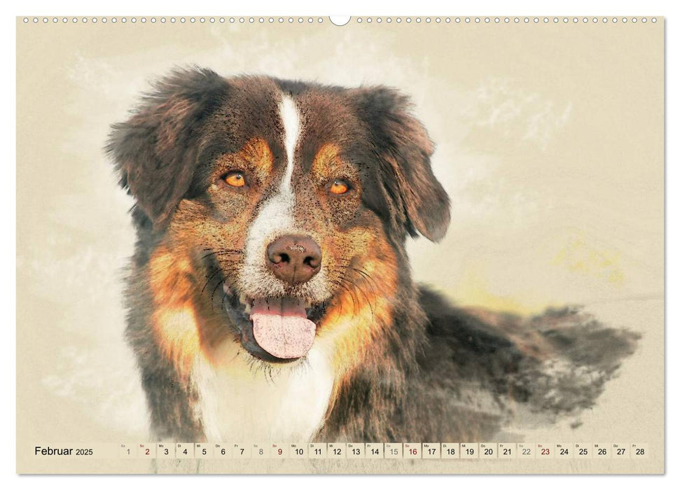 Australian Shepherds 2025 (CALVENDO Premium Wandkalender 2025)