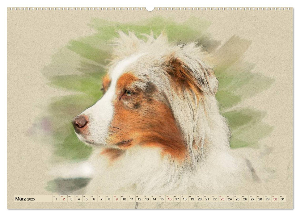 Australian Shepherds 2025 (CALVENDO Premium Wandkalender 2025)