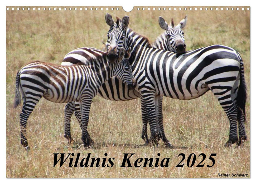 Wildnis Kenia 2025 (CALVENDO Wandkalender 2025)