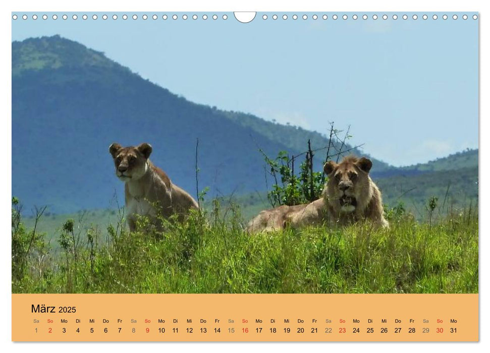 Wildnis Kenia 2025 (CALVENDO Wandkalender 2025)