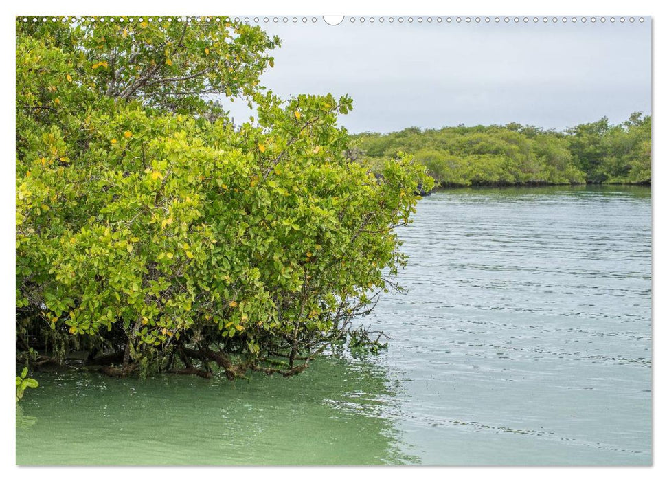 Galapagos- Landschaften (CALVENDO Premium Wandkalender 2025)