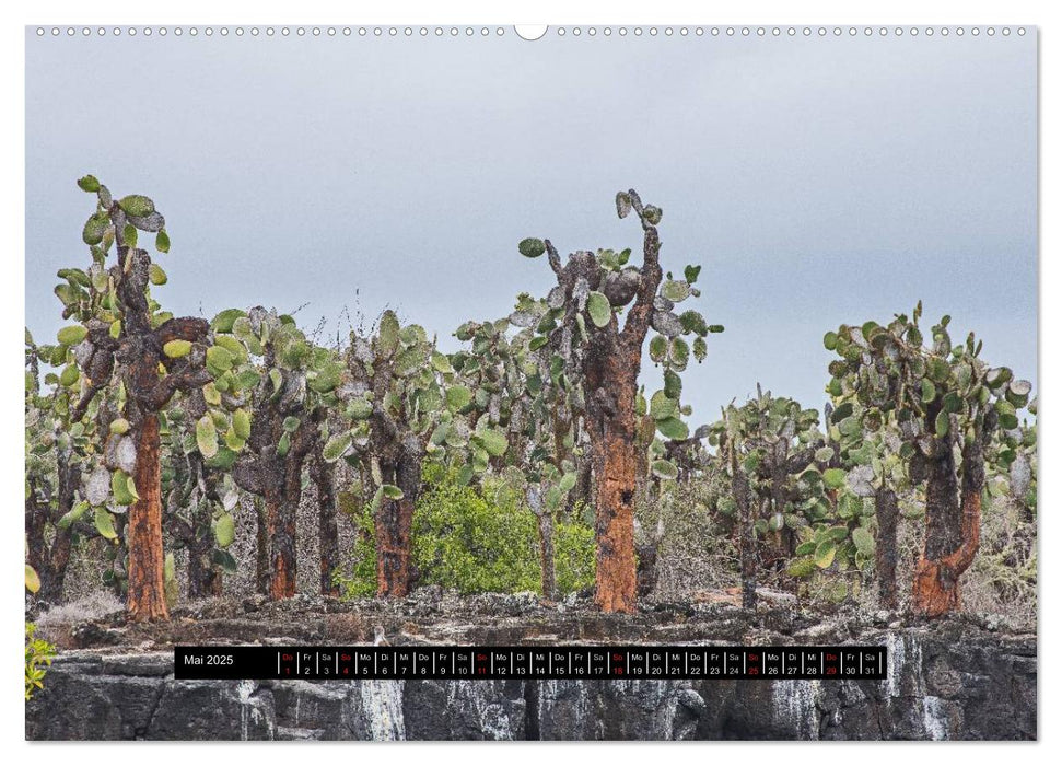 Galapagos- Landschaften (CALVENDO Premium Wandkalender 2025)