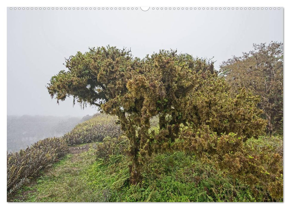 Galapagos- Landschaften (CALVENDO Premium Wandkalender 2025)