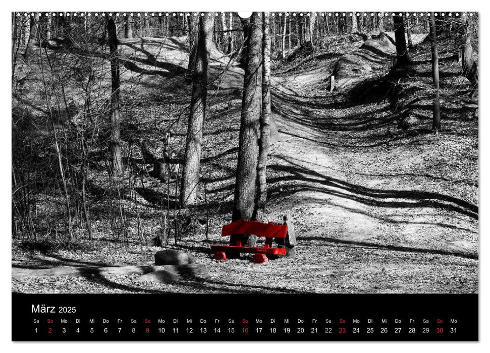 Blickfang in Rot (CALVENDO Premium Wandkalender 2025)