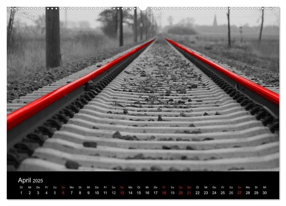 Blickfang in Rot (CALVENDO Premium Wandkalender 2025)