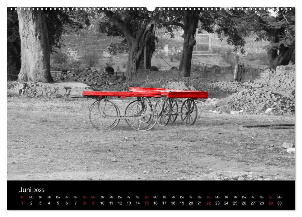 Blickfang in Rot (CALVENDO Premium Wandkalender 2025)