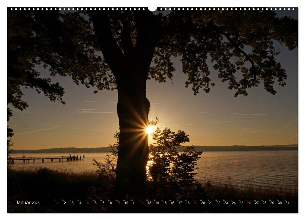 Seestärke - Der Ammersee (CALVENDO Premium Wandkalender 2025)