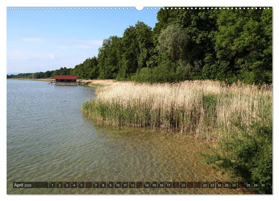 Seestärke - Der Ammersee (CALVENDO Premium Wandkalender 2025)