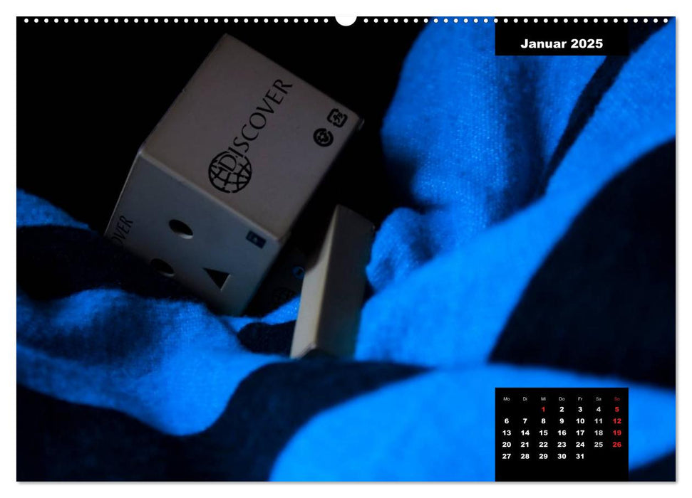 Danbo - Ein kleiner Held meistert seinen Alltag (CALVENDO Premium Wandkalender 2025)