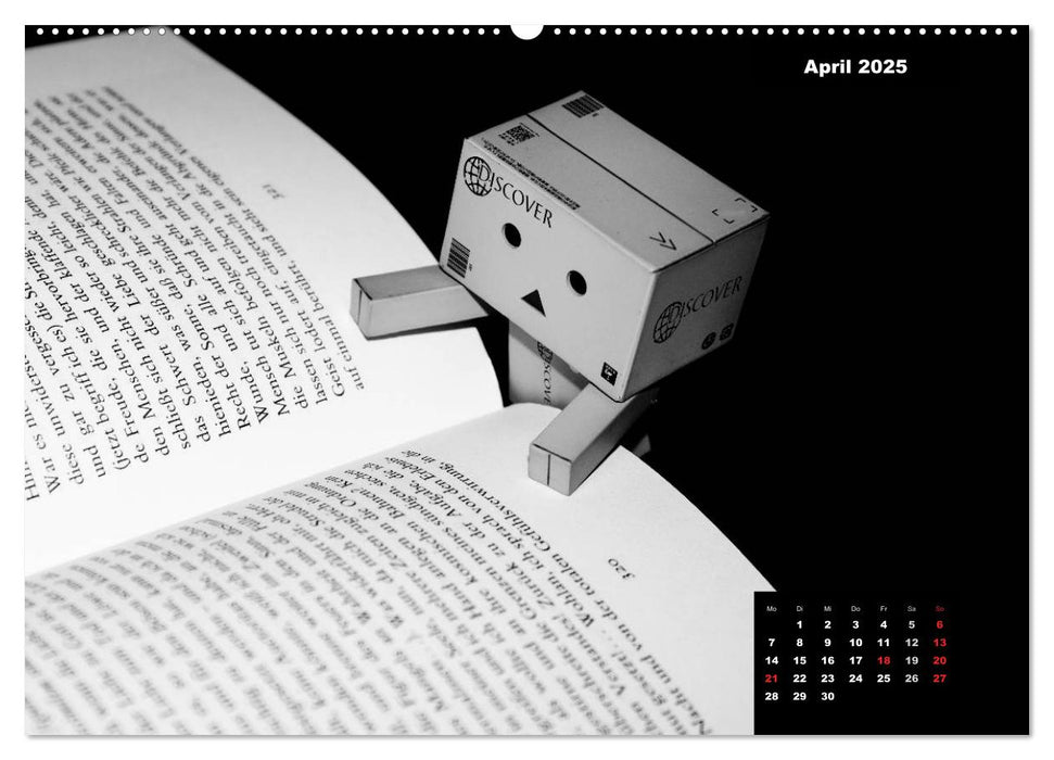 Danbo - Ein kleiner Held meistert seinen Alltag (CALVENDO Premium Wandkalender 2025)