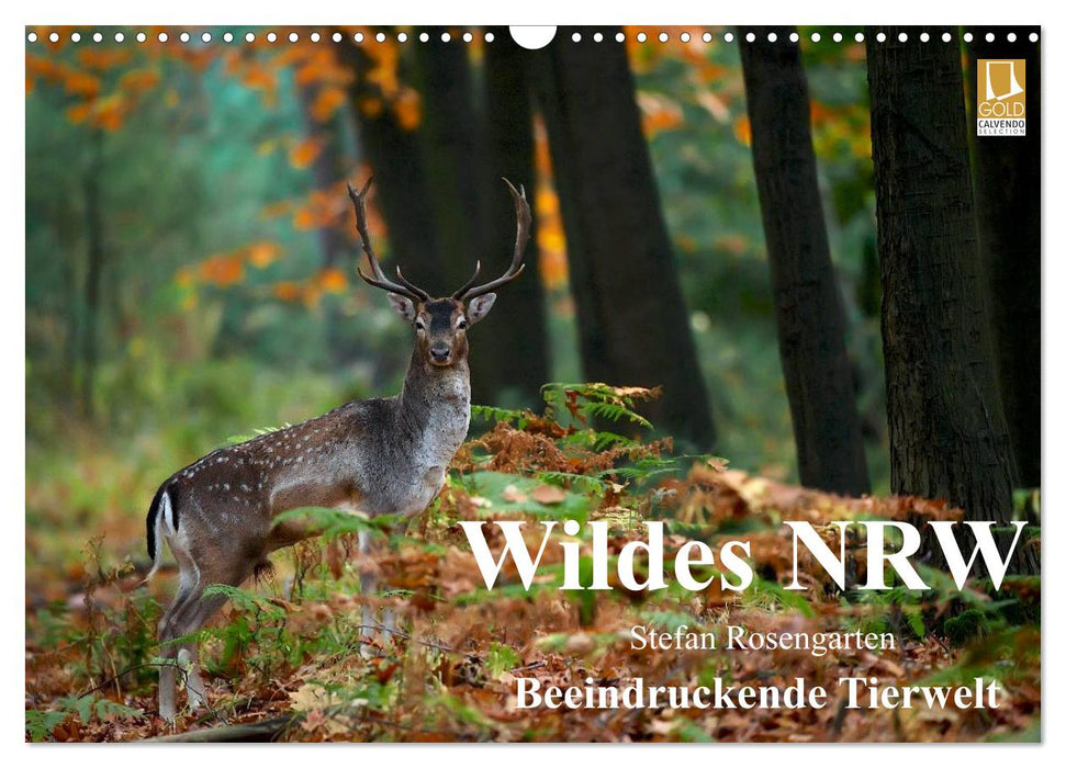 Wildes NRW - Beeindruckende Tierwelt (CALVENDO Wandkalender 2025)