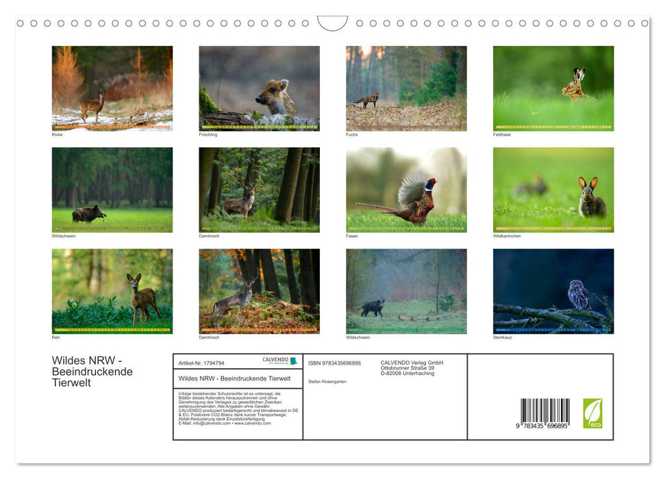 Wildes NRW - Beeindruckende Tierwelt (CALVENDO Wandkalender 2025)