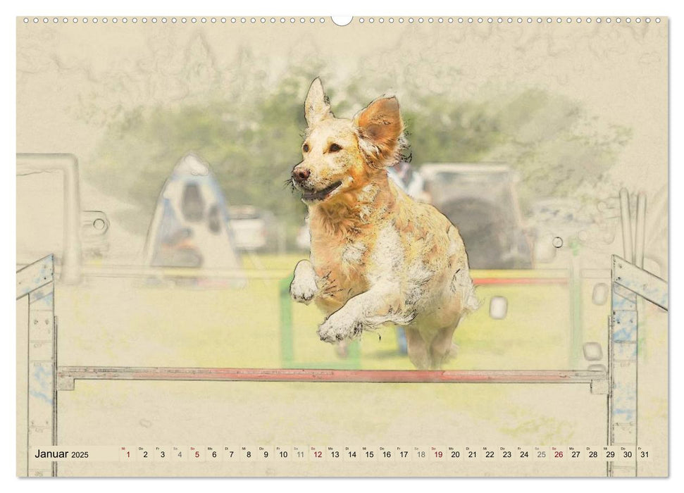 Golden Retriever 2025 (CALVENDO Premium Wandkalender 2025)