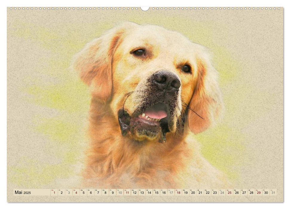 Golden Retriever 2025 (CALVENDO Premium Wandkalender 2025)