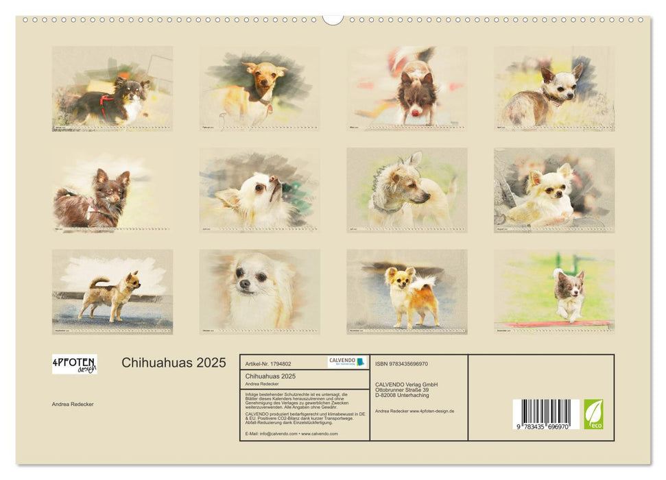 Chihuahuas 2025 (CALVENDO Premium Wandkalender 2025)