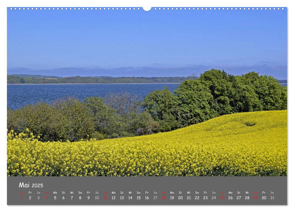 Rügen – Insel der Superlative (CALVENDO Premium Wandkalender 2025)