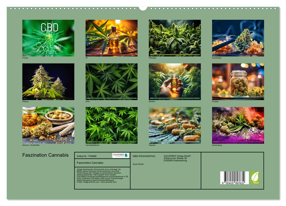 Faszination Cannabis (CALVENDO Premium Wandkalender 2025)