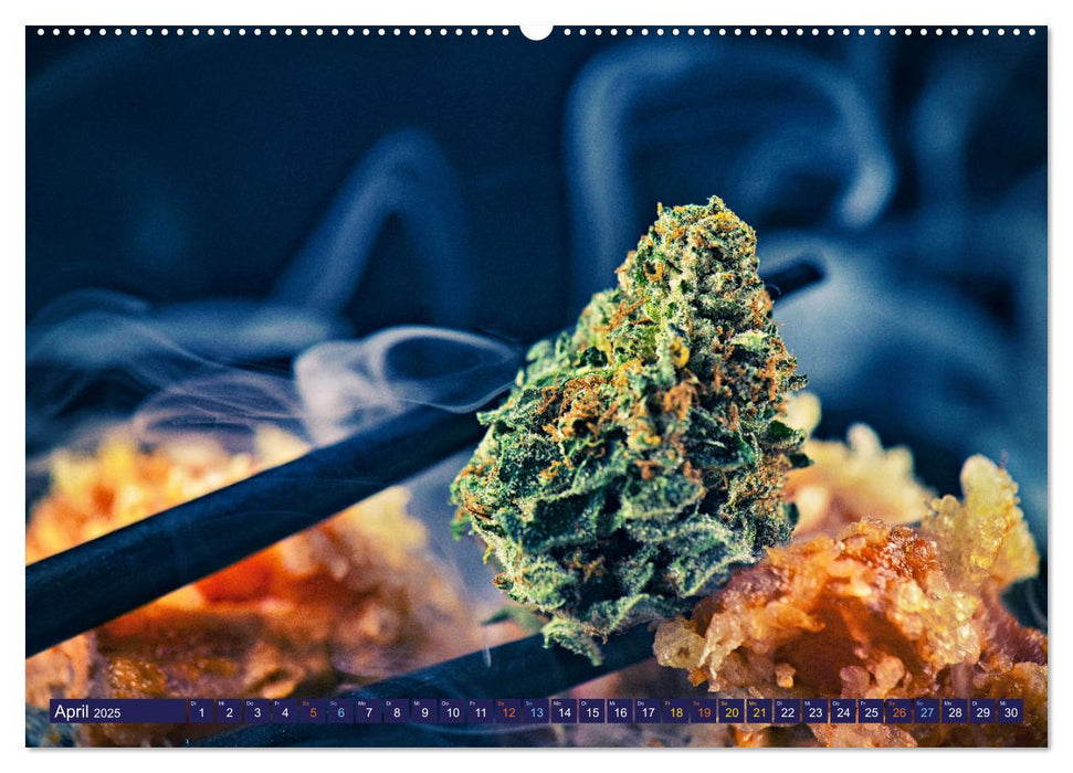 Faszination Cannabis (CALVENDO Premium Wandkalender 2025)