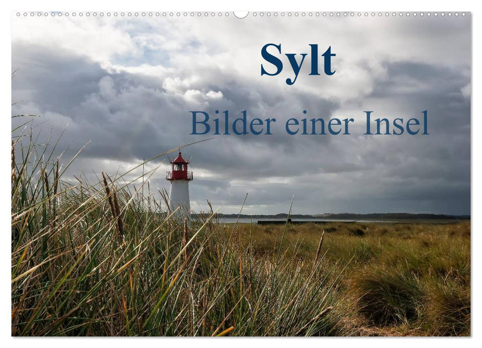 Sylt - Bilder einer Insel (CALVENDO Wandkalender 2025)