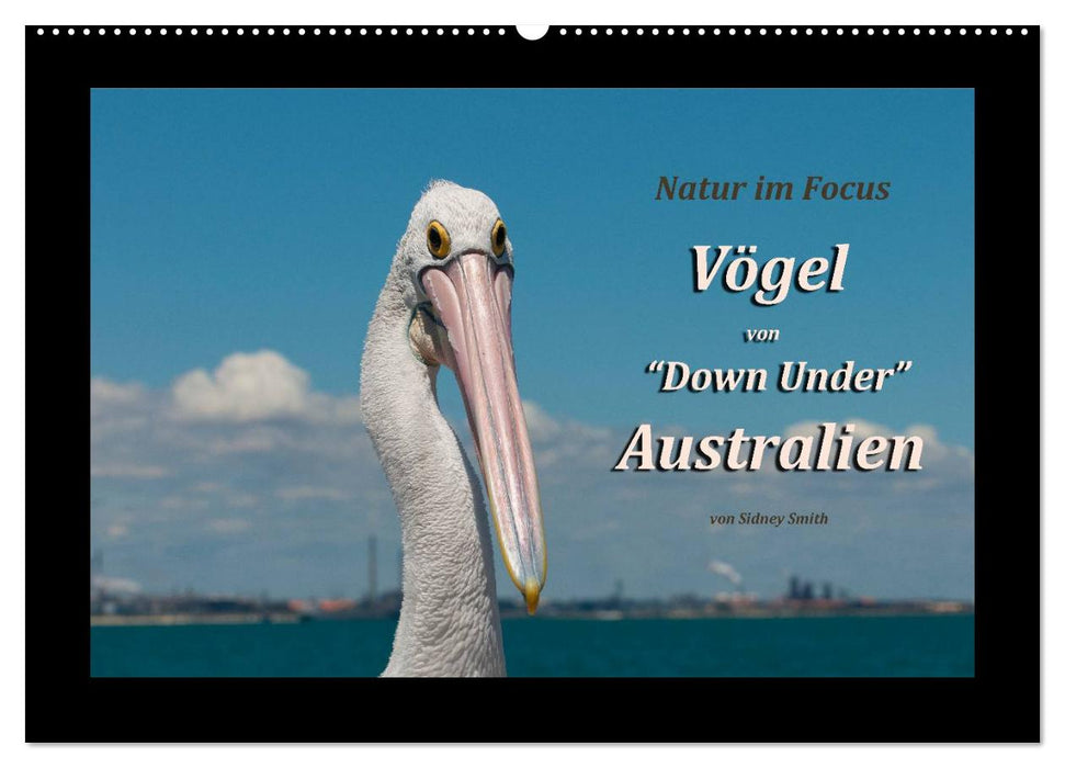Vögel von "Down Under" Australien (CALVENDO Wandkalender 2025)
