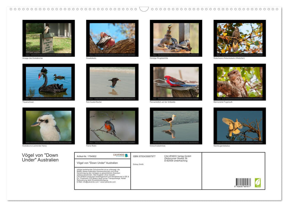 Vögel von "Down Under" Australien (CALVENDO Wandkalender 2025)