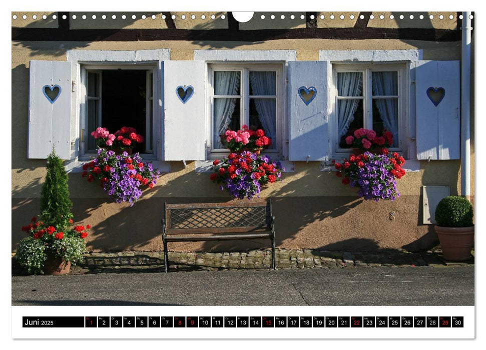 Fenster und Türen mit Charakter (CALVENDO Wandkalender 2025)