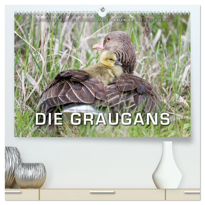Emotionale Momente: Die Graugans. (CALVENDO Premium Wandkalender 2025)