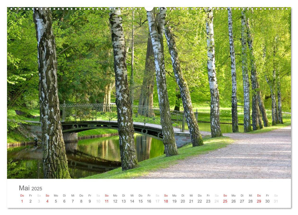 Schwerin - Impressionen (CALVENDO Premium Wandkalender 2025)