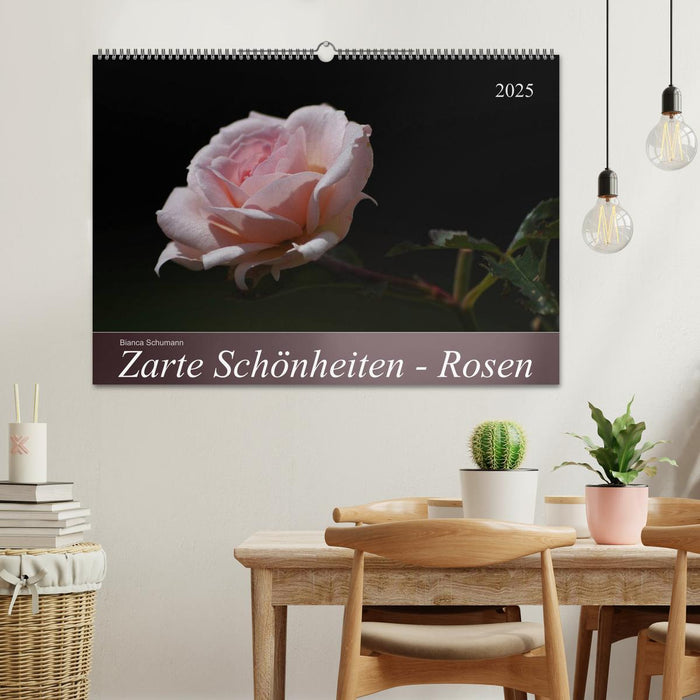 Zarte Schönheiten - Rosen (CALVENDO Wandkalender 2025)