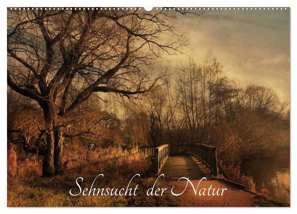 Sehnsucht der Natur (CALVENDO Wandkalender 2025)