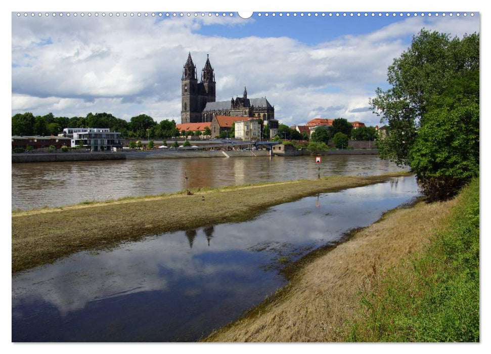 Magdeburg und Umgebung 2025 (CALVENDO Premium Wandkalender 2025)