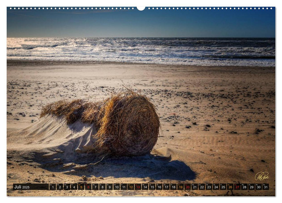 Nordsee-Dünen (CALVENDO Premium Wandkalender 2025)