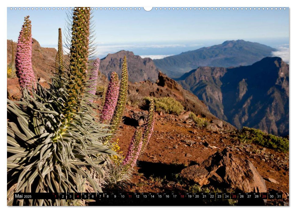 San Miguel de la Palma (CALVENDO Premium Wandkalender 2025)