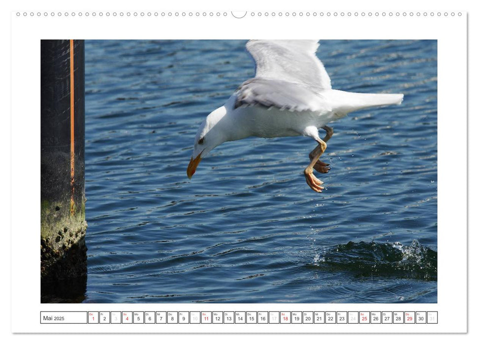 Ostsee Impressionen Laboe (CALVENDO Premium Wandkalender 2025)